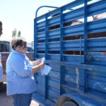 Chihuahua cuenta con 28 Puntos de Verificación Interna para movilidad y trazabilidad de ganado