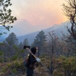 Gobierno del Estado reporta solo 3 incendios forestales durante el puente de Semana Santa