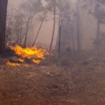 Llama SDR a evitar quemas agrícolas sin autorización para prevenir incendios forestales