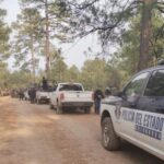 Muere trabajador tras ser aplastado por un pino