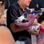 Esterilizan a 200 mascotas durante el primer día de campaña; continúa este domingo