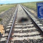 Hallan cuerpo arrollado por el ferrocarril en La Junta