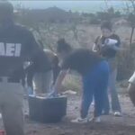 Dejan hielera con dos cabezas humanas en la autopista Chihuahua a Cuauhtémoc